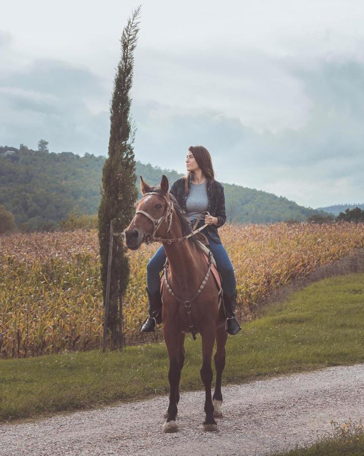 Agriturismo Querceto Mocaiana エクステリア 写真