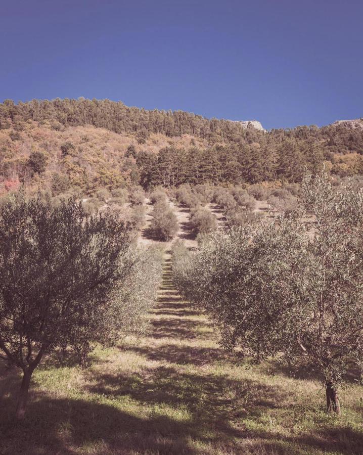 Agriturismo Querceto Mocaiana エクステリア 写真