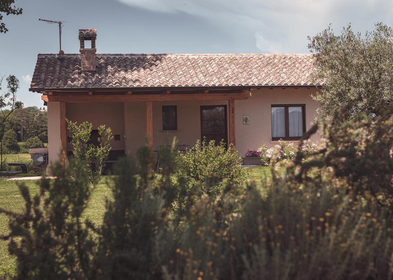 Agriturismo Querceto Mocaiana エクステリア 写真