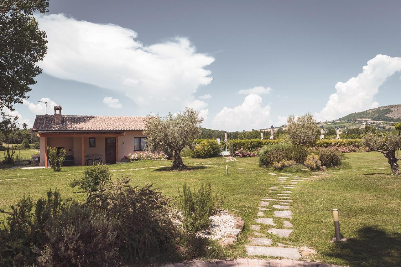 Agriturismo Querceto Mocaiana エクステリア 写真